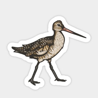 Marbled Godwit Sticker